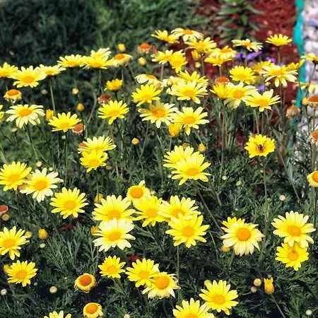 Affittacamere And Lorena 236